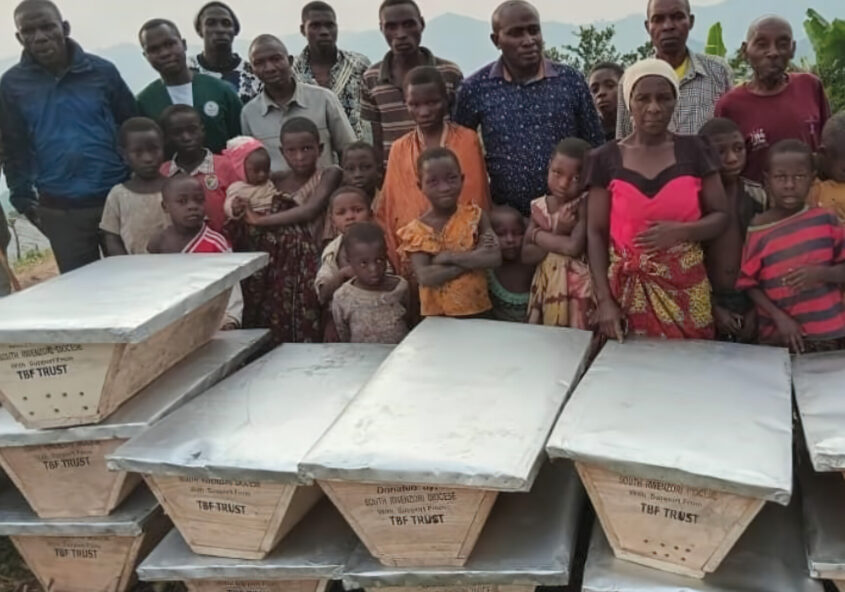 newsletter january 2025 2